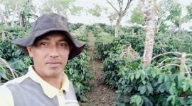 Rida Efendi salah seorang petani kopi Arabika