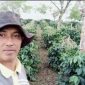 Rida Efendi salah seorang petani kopi Arabika