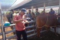 Kepala UPTD Inseminasi Buatan dan Inkubator Dinas Peternakan Aceh DR.Hendra Saputra S.Pt.MM sedang meninjau, memeriksa dan memperkenal Inovasi tehnologi visual inseminasi buatan pada sapi hasil IB disebuah peternakan sapi kawasan Aceh Besar