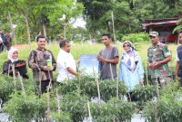 Pj Bupati Aceh Besar Muhammad Iswanto S.STP MM, didampingi Kadis Pertanian Aceh Besar Jakfar SP, Danramil Kota Jantho dan penyuluh pertanian, menyerahkan alat pertanian kepada Kelompok Tani Makmu Beurata, usai memanen cabai, di Gampong Barueh, Kecamatan Kota Jantho, Kabupaten Aceh Besar, Kamis (3/10/2024)
