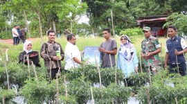 Pj Bupati Aceh Besar Muhammad Iswanto S.STP MM, didampingi Kadis Pertanian Aceh Besar Jakfar SP, Danramil Kota Jantho dan penyuluh pertanian, menyerahkan alat pertanian kepada Kelompok Tani Makmu Beurata, usai memanen cabai, di Gampong Barueh, Kecamatan Kota Jantho, Kabupaten Aceh Besar, Kamis (3/10/2024)