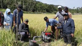 Bantuan sumur suntik untuk petani pulo aceh, Aceh Besar (Foto: Dok Bank Aceh)