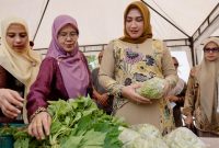 Ketua Tim Penggerak PKK Aceh, Ny. Marlina Muzakir, melakukan peninjauan harga kebutuhan bahan pokok sekaligus berbelanja jelang Idul Fitri, di Pasar Tani exspo Bank Aceh Lampineung, Banda Aceh, Kamis (27/3/2025).