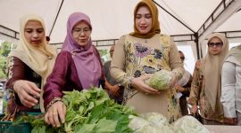 Ketua Tim Penggerak PKK Aceh, Ny. Marlina Muzakir, melakukan peninjauan harga kebutuhan bahan pokok sekaligus berbelanja jelang Idul Fitri, di Pasar Tani exspo Bank Aceh Lampineung, Banda Aceh, Kamis (27/3/2025).