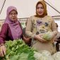 Ketua Tim Penggerak PKK Aceh, Ny. Marlina Muzakir, melakukan peninjauan harga kebutuhan bahan pokok sekaligus berbelanja jelang Idul Fitri, di Pasar Tani exspo Bank Aceh Lampineung, Banda Aceh, Kamis (27/3/2025).