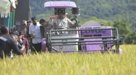 Gubernur Aceh, Muzakir Manaf melihat langsung panen raya padi serentak di Aceh Besar. (Foto: Humas Pemerintah Aceh)