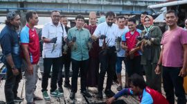 Gubernur Aceh, Muzakir Manaf memanen lobster di keramba milik nelayan di kawasan Ulee Lheue, Kota Banda Aceh, Selasa (4/11/2025) sore.