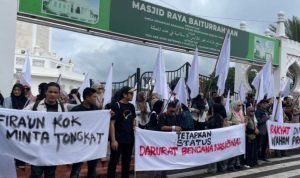 IMG-20251218-WA0174_1