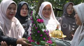 Tokoh masyarakat saling tukar daun sirih saat mengantar pengantin pada adat perkawinan di Aceh, Membawa dan menyerahkan daun sirih yang dirangkai berbagai bentuk itu menjadi salah satu kelengkapan adat perkawinan serta tradisi masyarakat Aceh, merupakan simbol ikatan persaudaraan kedua keluarga calon pengantin.