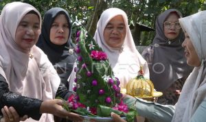 daun-sirih-pada-adat-perkawinan-aceh-17ev0-dom_1