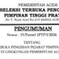 Pengumuman Nomor: 15/Pansel – JPTP/I/2026 tentang hasil Seleksi terbuka pengisian Pejabat Pimpinan Tinggi Pratama di Lingkungan Pemerintah Aceh. (Foto : Dok.Ist)